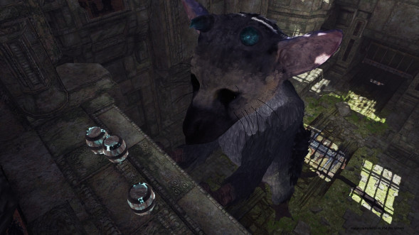 The Last Guardian: Последний хранитель [PS4, русские субтитры] в Махачкале
