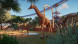 Игра Planet Zoo: Console Edition [PS5, английская версия] в Махачкале