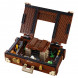Конструктор LEGO Harry Potter 75952 Чемодан Ньюта Саламандера в Махачкале