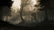 Игра GreedFall [PS4, русские субтитры] в Махачкале