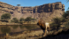 Игра Way of the Hunter: Wild Expeditions [PS5, русские субтитры] в Махачкале