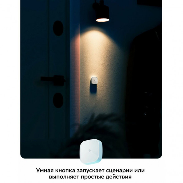 Умная кнопка Sber SBDV-00032 в Махачкале