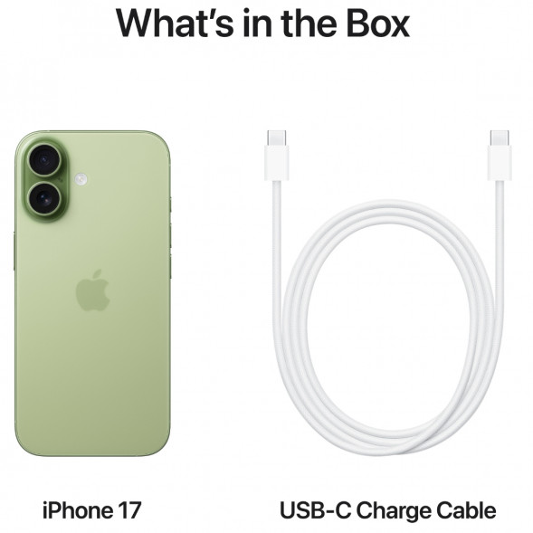 Смартфон Apple iPhone 17 256GB eSim, Sage в Махачкале