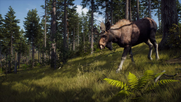 Игра Way of the Hunter [PS5, русские субтитры] в Махачкале