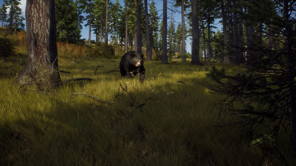 Игра Way of the Hunter [PS5, русские субтитры] в Махачкале