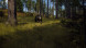 Игра Way of the Hunter [PS5, русские субтитры] в Махачкале