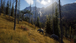 Игра Way of the Hunter [PS5, русские субтитры]
