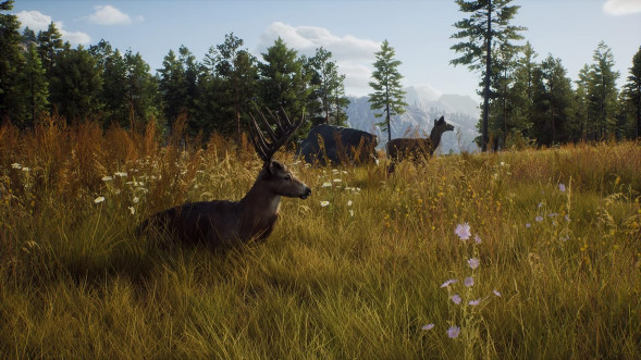 Игра Way of the Hunter [PS5, русские субтитры] в Махачкале