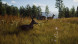Игра Way of the Hunter [PS5, русские субтитры] в Махачкале