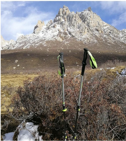 Треккинговая палка Naturehike 135 см, 1 шт., белый/красный в Махачкале