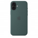 Чехол Apple для iPhone 16 Plus Silicone MagSafe,  Lake Green (MYYH3ZM/A) в Махачкале