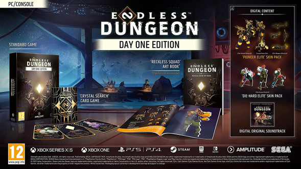 Игра Endless Dungeon. Day One Edition [PS5, английская версия] в Махачкале