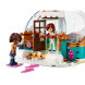 Конструктор LEGO Friends 41760 Праздничное приключение в иглу в Махачкале