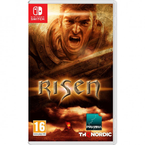 Игра Risen [Nintendo Switch, русская версия] в Махачкале