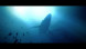 Игра Under The Waves [PS4, русские субтитры] в Махачкале