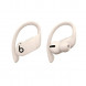 Беспроводные наушники Beats Powerbeats Pro, Ivory (MY5D2ZM/A) в Махачкале