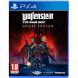 Игра Wolfenstein Youngblood Deluxe Edition [PS4, русская версия] в Махачкале