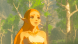 Legend of Zelda: Breath of the Wild [NSwitch, Русская версия] в Махачкале