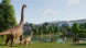 Игра Jurassic World: Evolution 3 [PS5, английская версия] в Махачкале