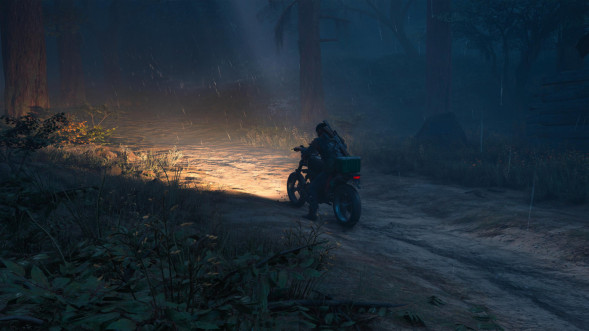 Игра Жизнь После (Days Gone) [PS4, русская версия] в Махачкале